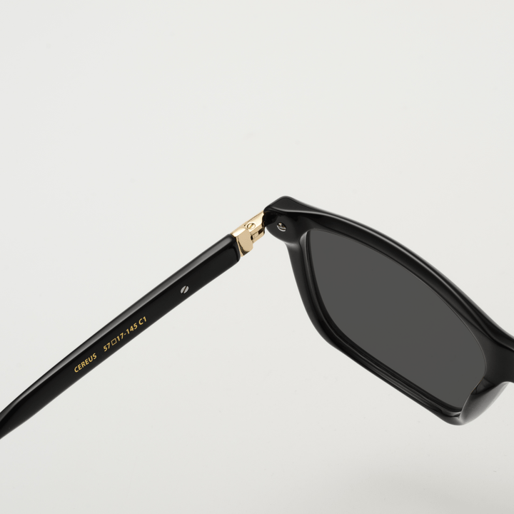 Cereus: Lunettes de soleil de luxe Noir - Bleather Maroc