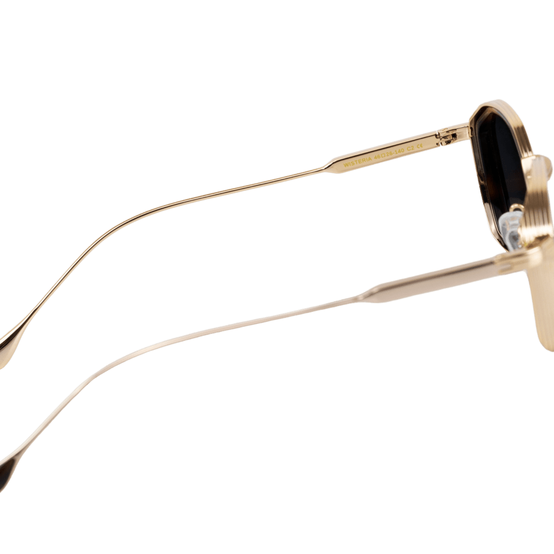 Wisteria C2 : Lunettes de soleil de luxe Doré Noir Havane - Bleather Maroc